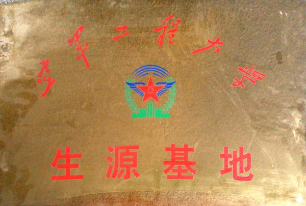 15094271064862597AAD.jpg