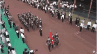 1.gif